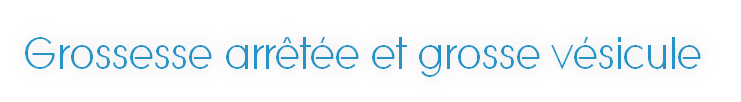 Grossesse arrêtée et grosse vésicule